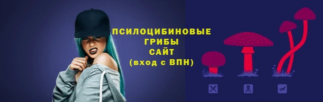 амф Бугульма