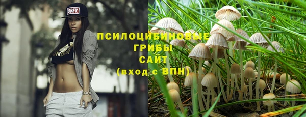 а пвп мука Богородицк