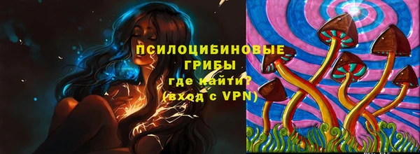 a pvp Богородск