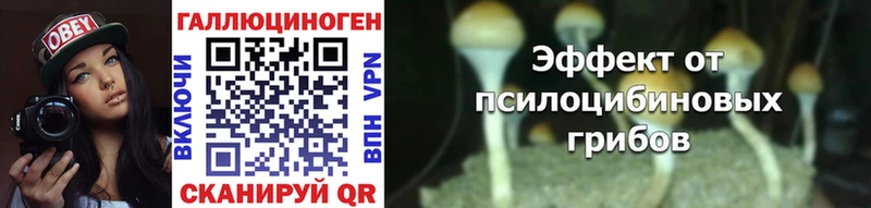 Купить  Мамадыш  Галлюциногенные грибы мицелий 